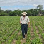 Taiwán refuerza su demanda de carne paraguaya