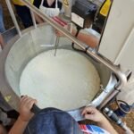Novillo Tipo Paraguay 2.0 muestra mejora del 11% del valor de la hacienda