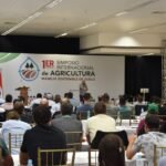 Taiwán se afianza como el segundo mayor comprador de la carne bovina paraguaya