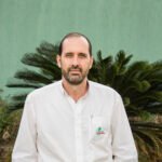 Sector forestal paraguayo crece a un ritmo de 70 mil hectáreas por año