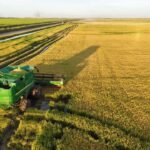 Paraguay duplica ingresos pecuarios y busca nuevos mercados