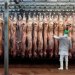 Cálculo de cosecha de maíz en Brasil se ubica en 140,3 millones de toneladas
