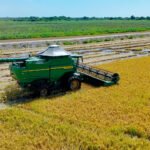Sumitomo suma herramientas para combatir la pudrición de granos y proyecta nuevas moléculas para la región