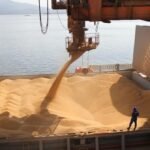 Argentina: agroindustrias repuntan en abril con más divisas, pero aún por debajo del 2025